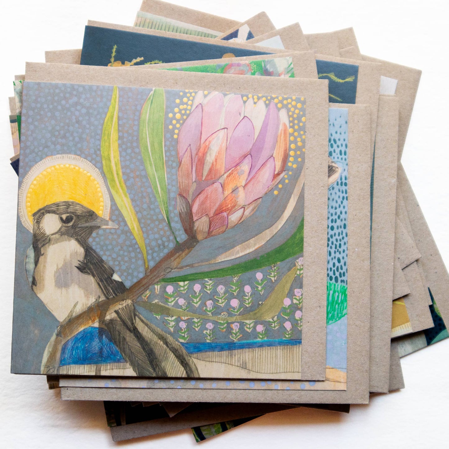 Willie Wagtail and Protea - Card