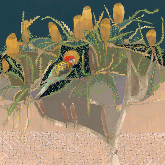 Drifting Away Down Palmer Street, Eastern Rosella and Orange Banksia - Edition Print
