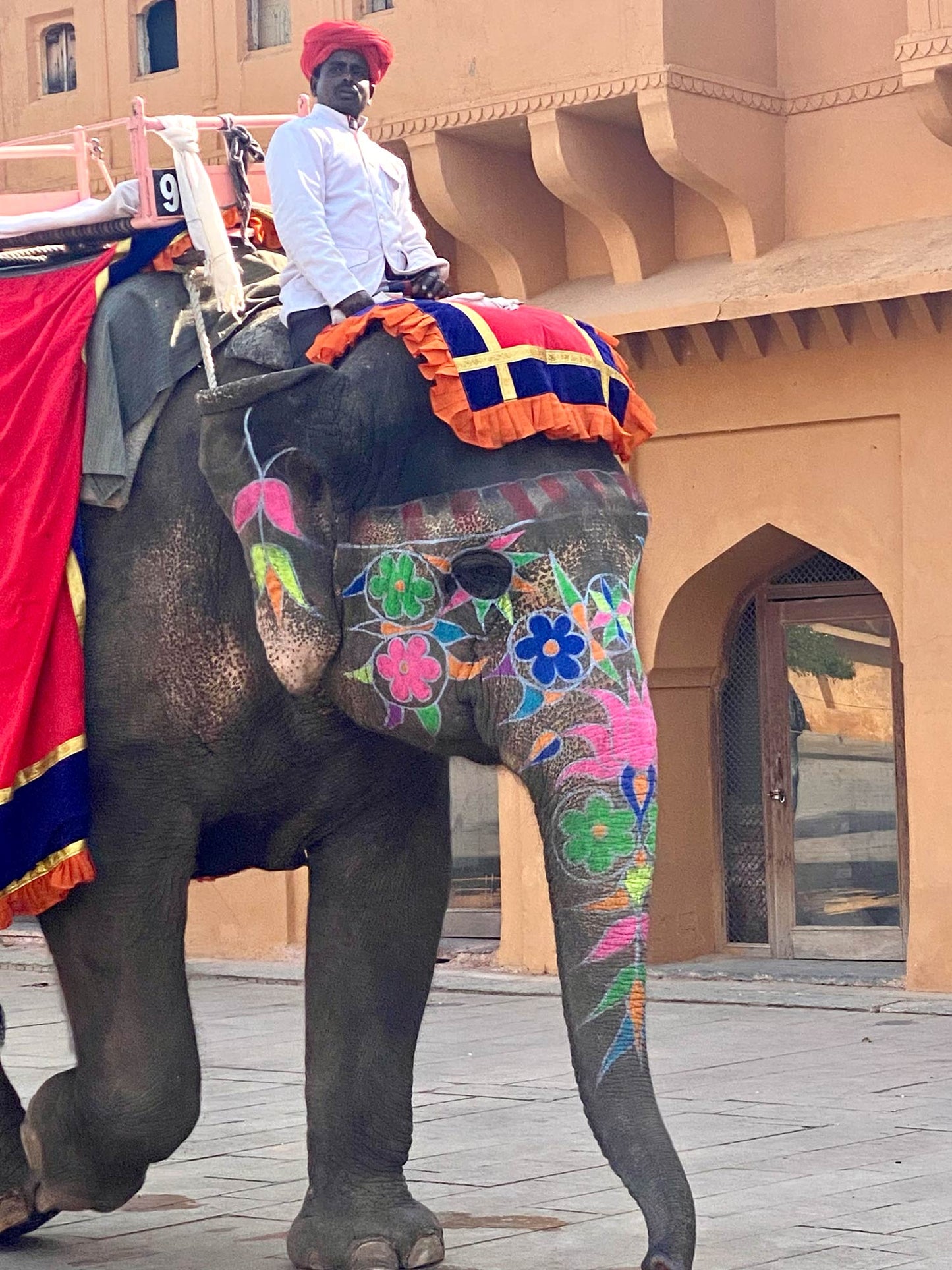 🪷Feb 2026 join me in North INDIA art/culture with Holi🪷