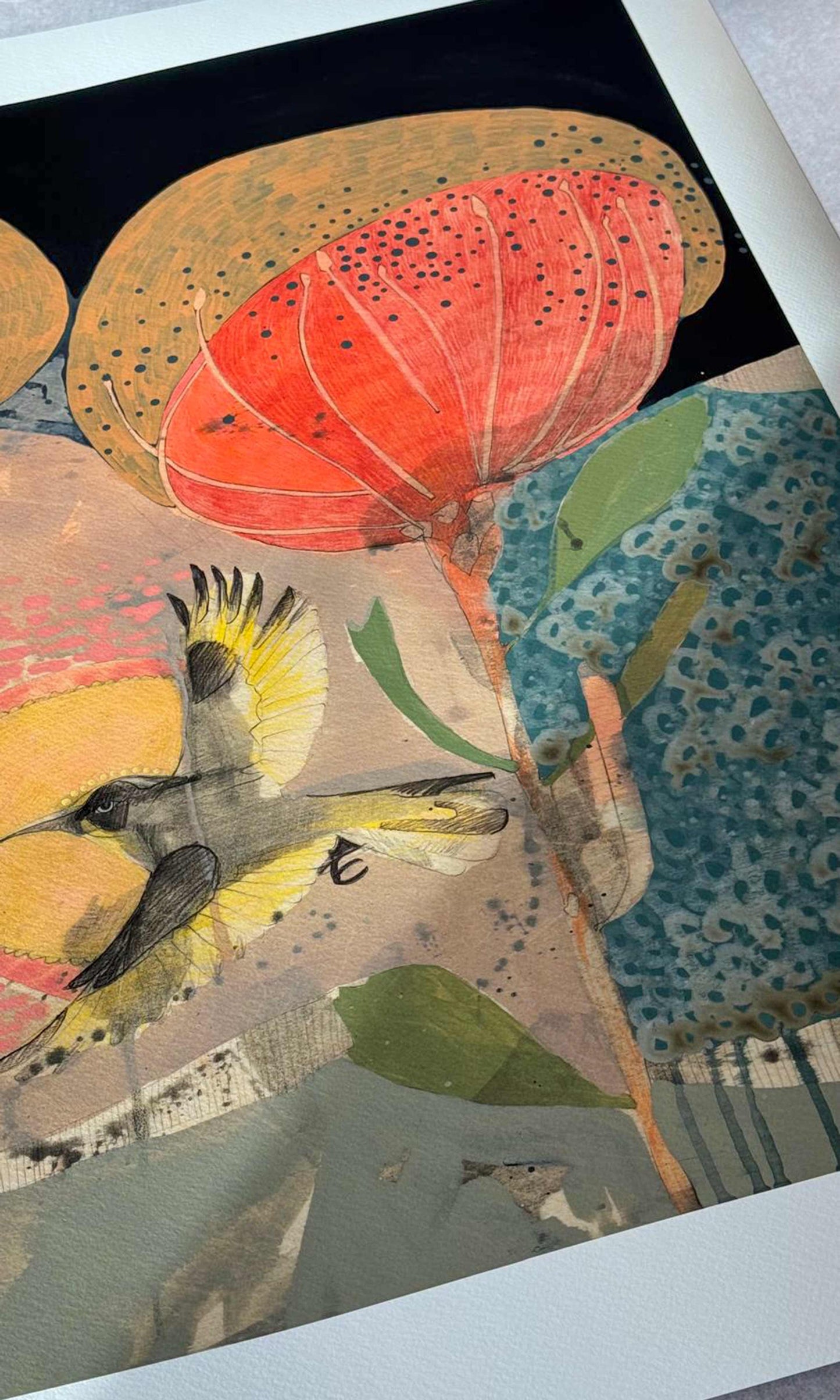 The Fluttering of Birds, New Holland Honeyeater and Pincushion - Edition Print