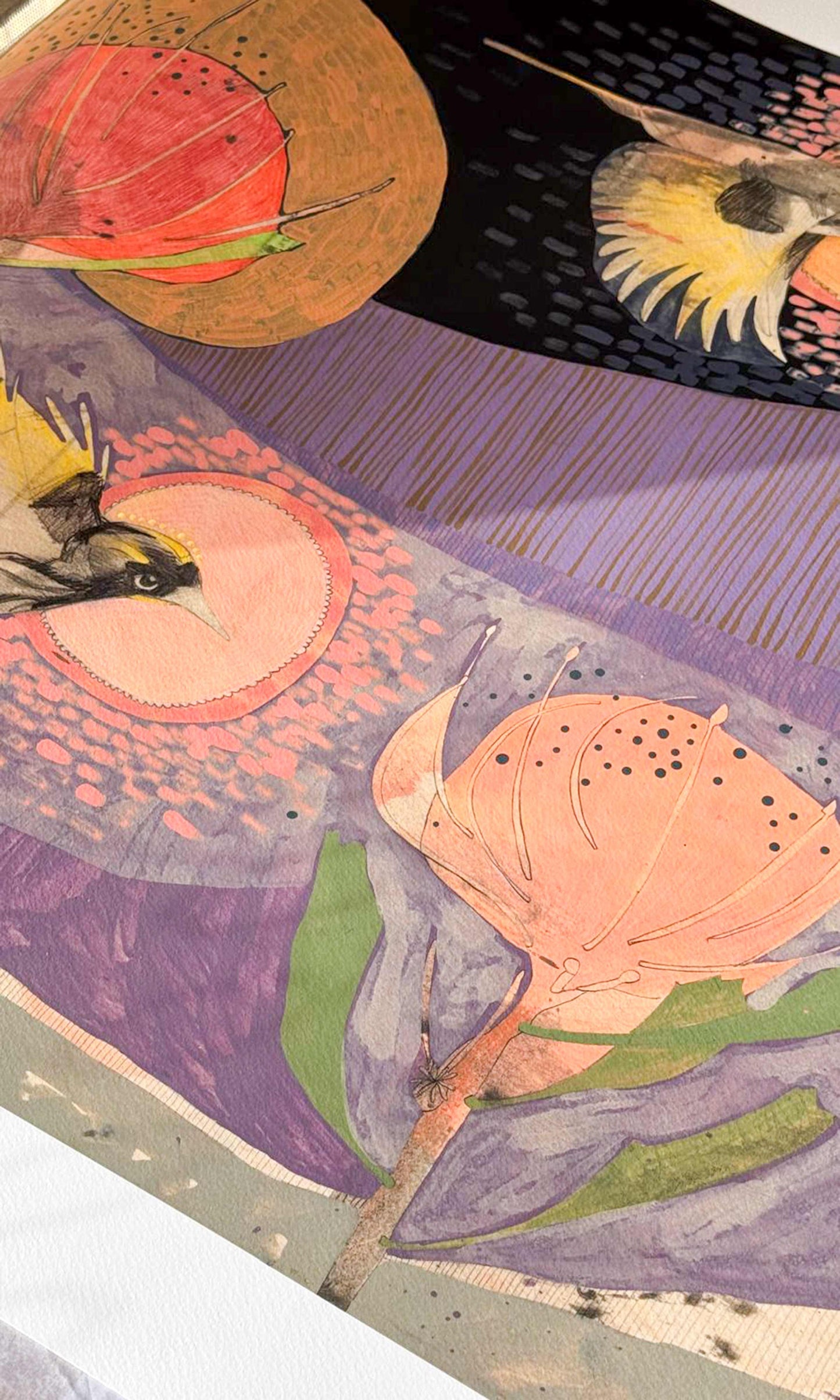 The Fluttering of Birds, New Holland Honeyeater and Pincushion - Edition Print