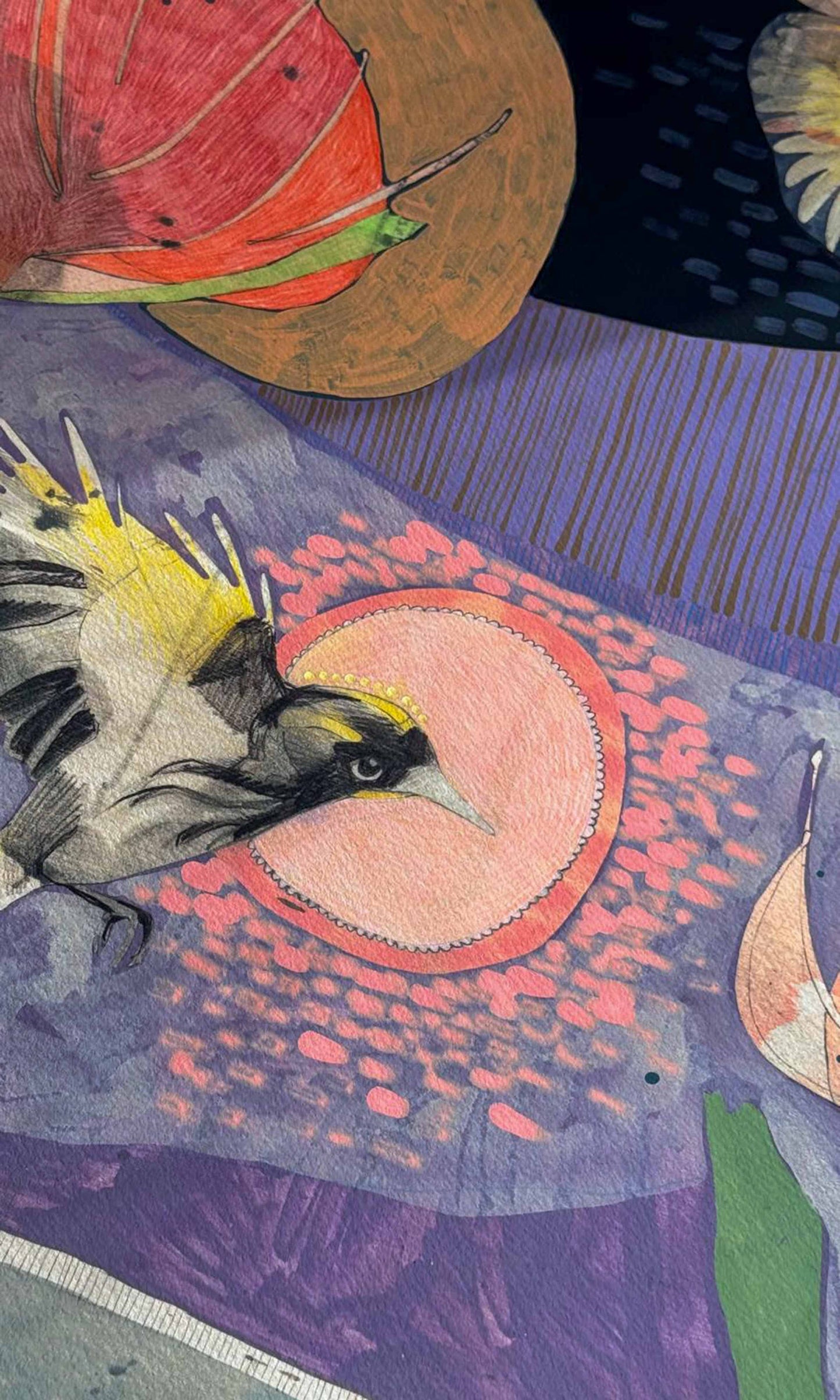 The Fluttering of Birds, New Holland Honeyeater and Pincushion - Edition Print