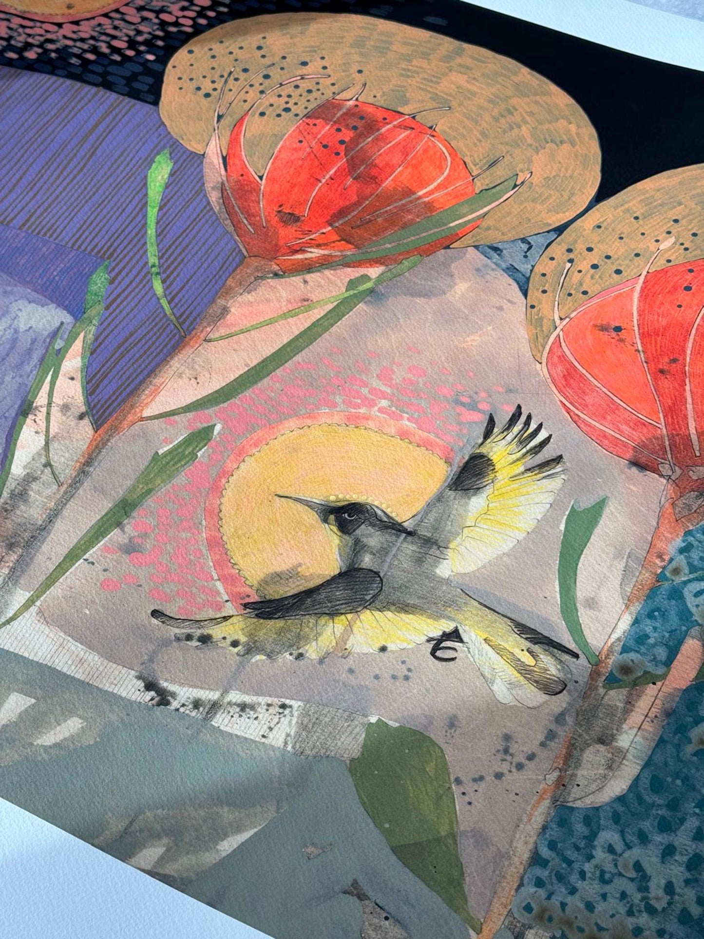 The Fluttering of Birds, New Holland Honeyeater and Pincushion - Edition Print