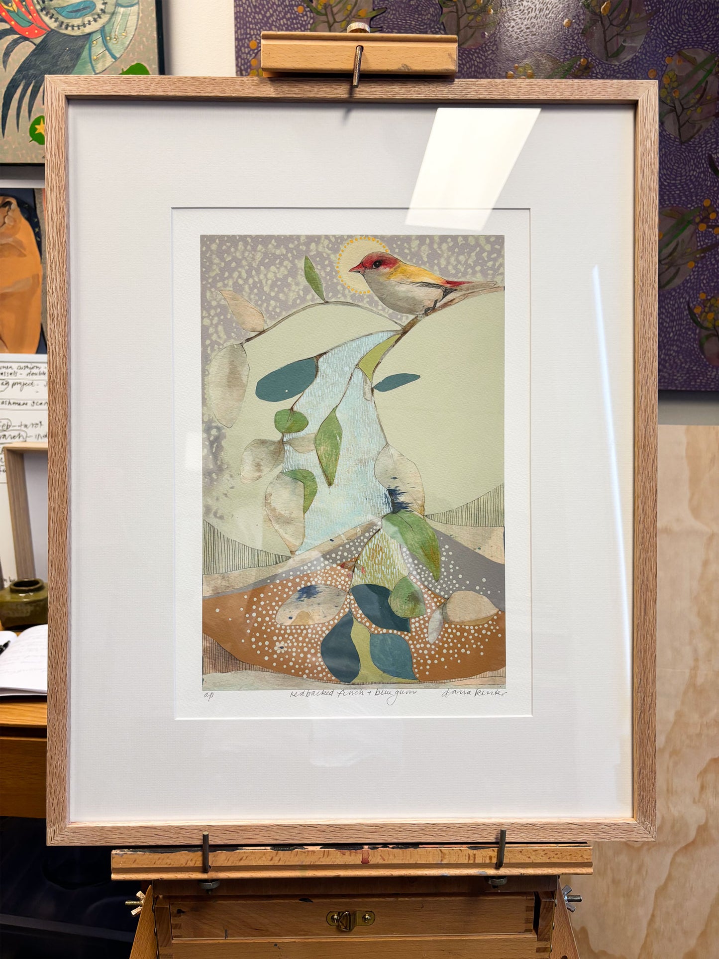 red backed finch and blue gum - framed print