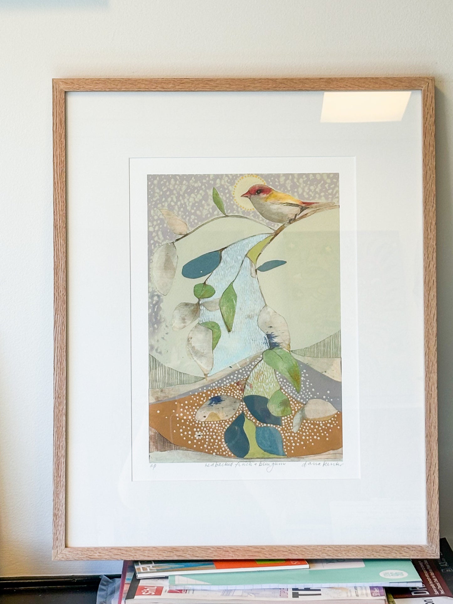 red backed finch and blue gum - framed print