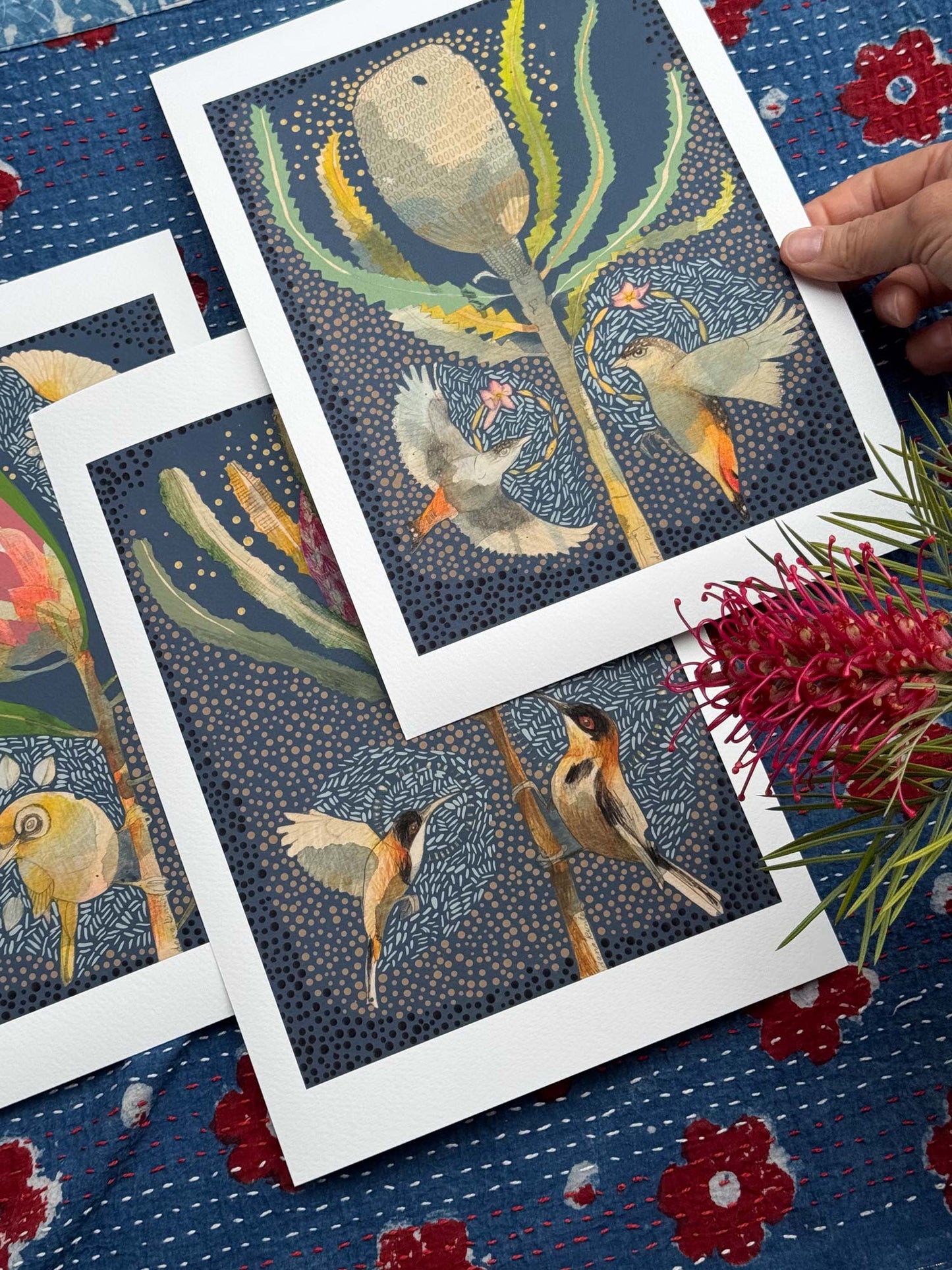 Silvereye and Pink Ice Protea - Mini Print