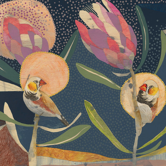 may my heart always be open, zebra finches and protea - edition print