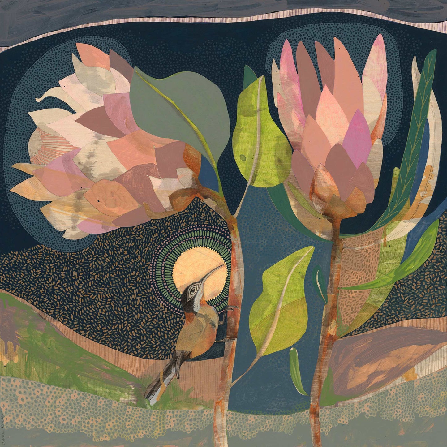 I Let Love In, Eastern Spinebill and Proteas - Edition Print