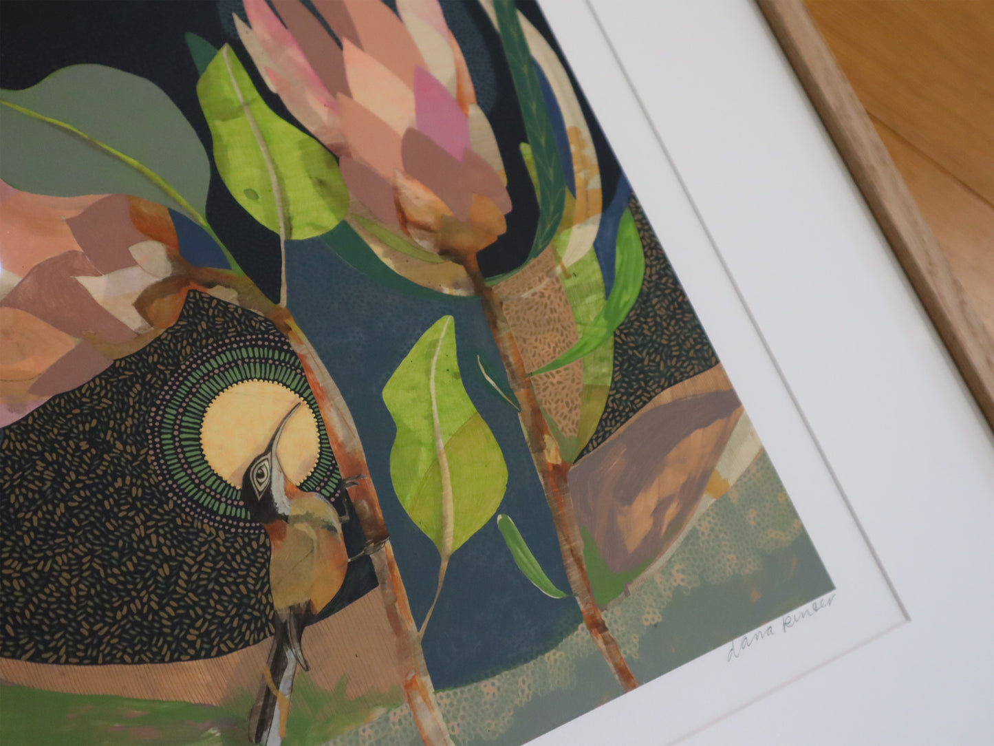 I Let Love In, Eastern Spinebill and Proteas - Edition Print