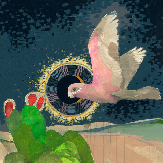 I Met Her on a Cloud, Galah and Prickly Pear - Edition Print