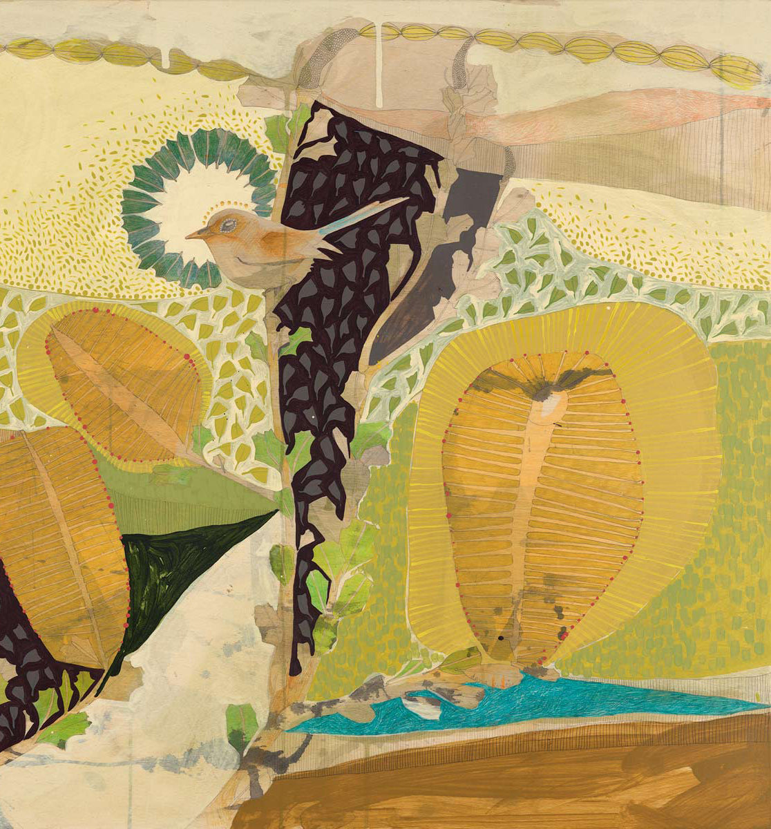 A Wish on the Wind - Little Blue Wrens and Cut Leaf Banksia - Painting