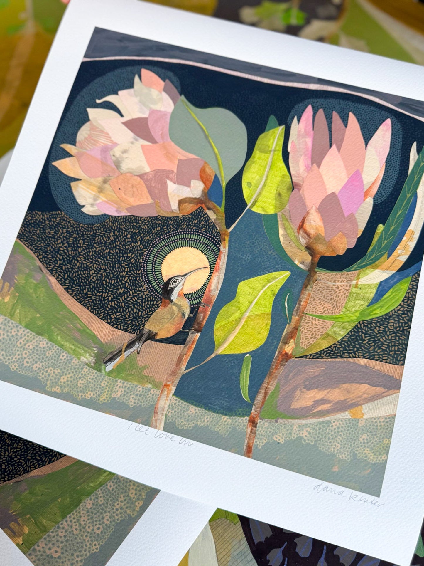 I Let Love In, Eastern Spinebill and Proteas - Edition Print