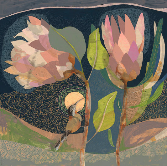i let love in, eastern spinebill and proteas | print