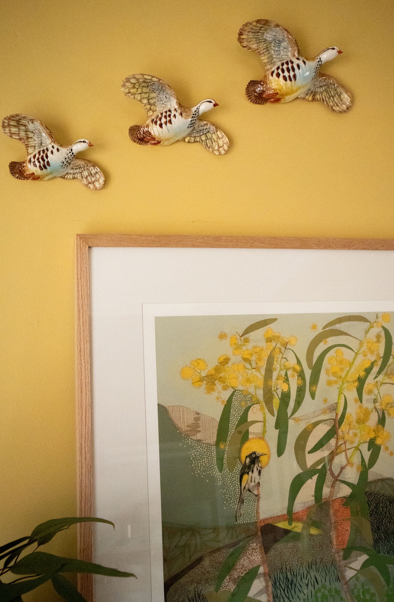 Locations of Memory, New Holland Honeyeater and Wattle - Edition Print
