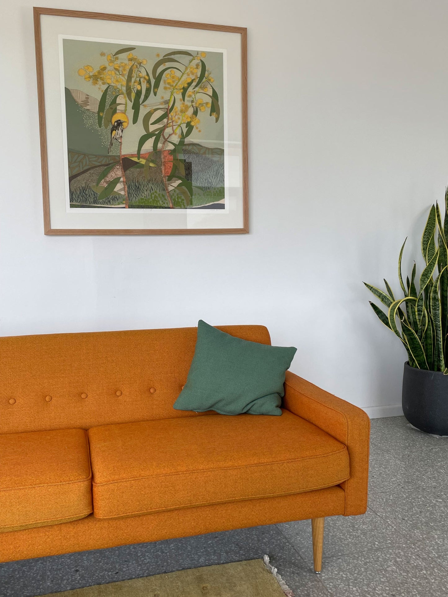 Locations of Memory, New Holland Honeyeater and Wattle - Edition Print