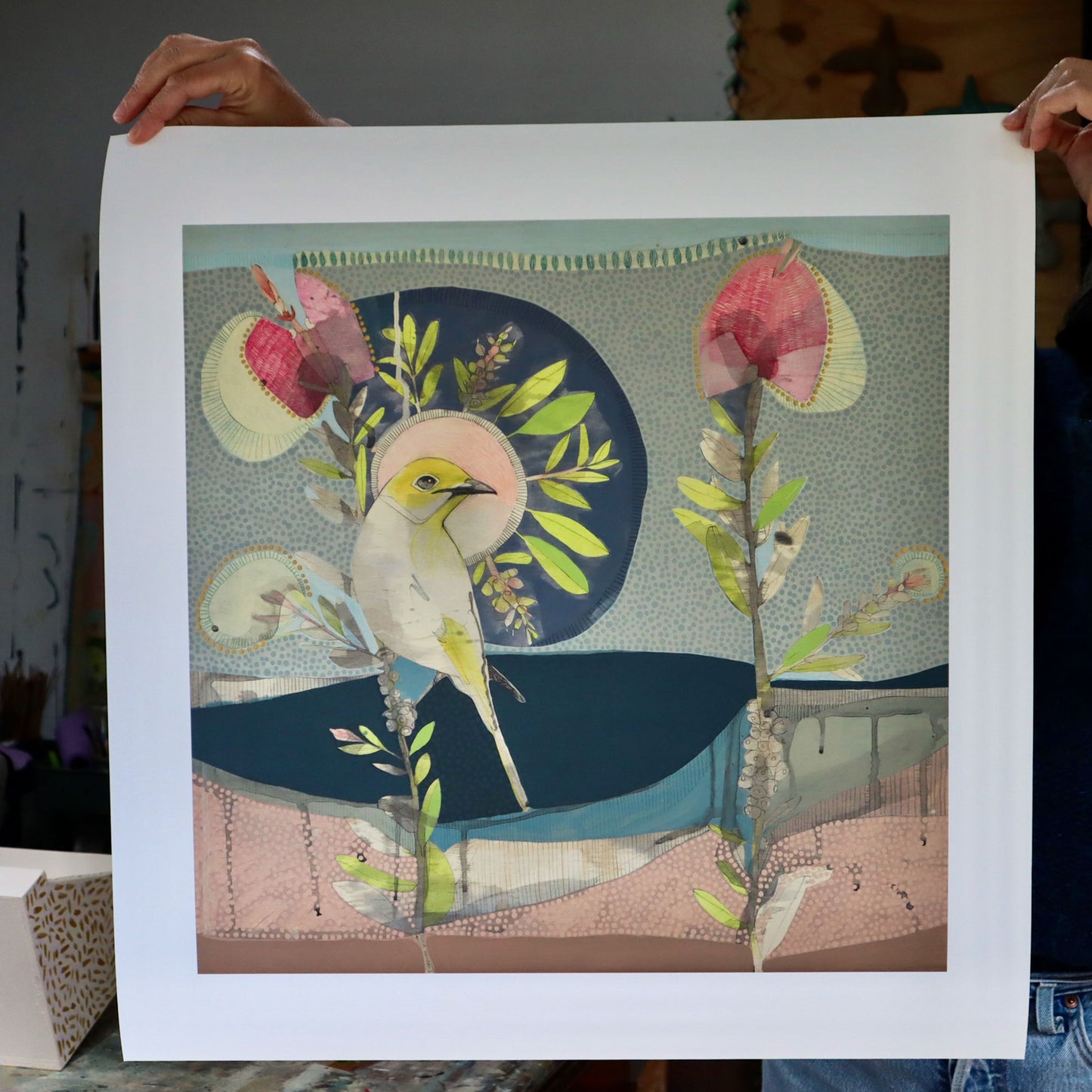 may love find you - white plumed honeyeater and hot pink callistemon - edition print