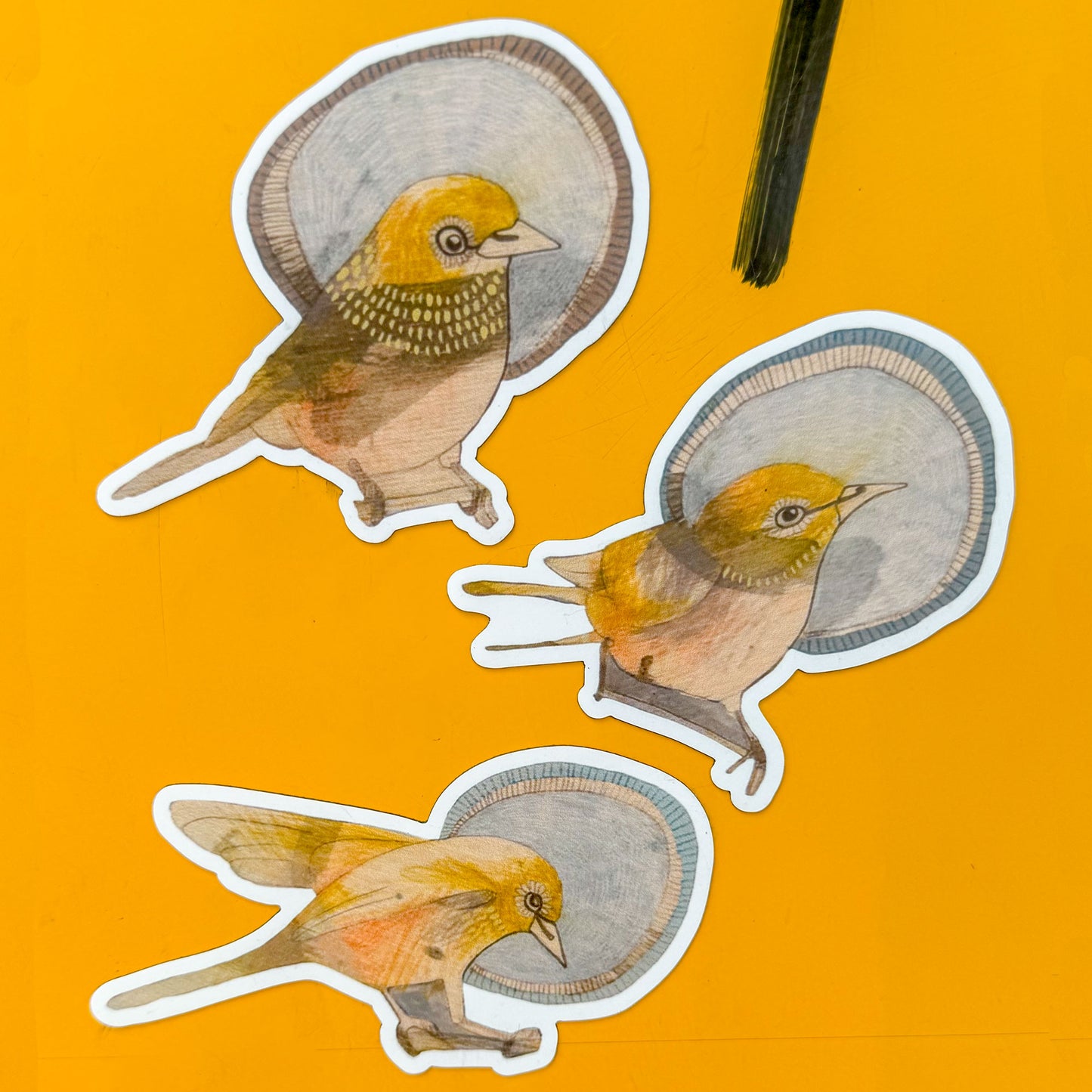 silvereyes magnet set of 3