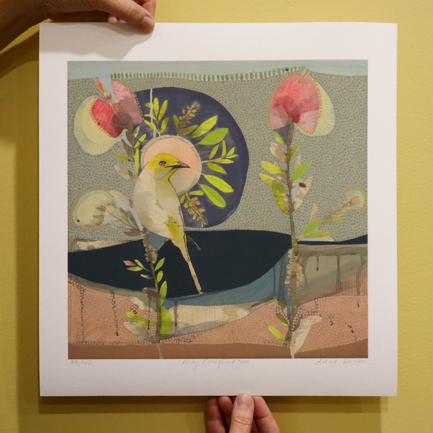 May Love Find You, White Plumed Honeyeater and Hot Pink Callistemon - Edition Print