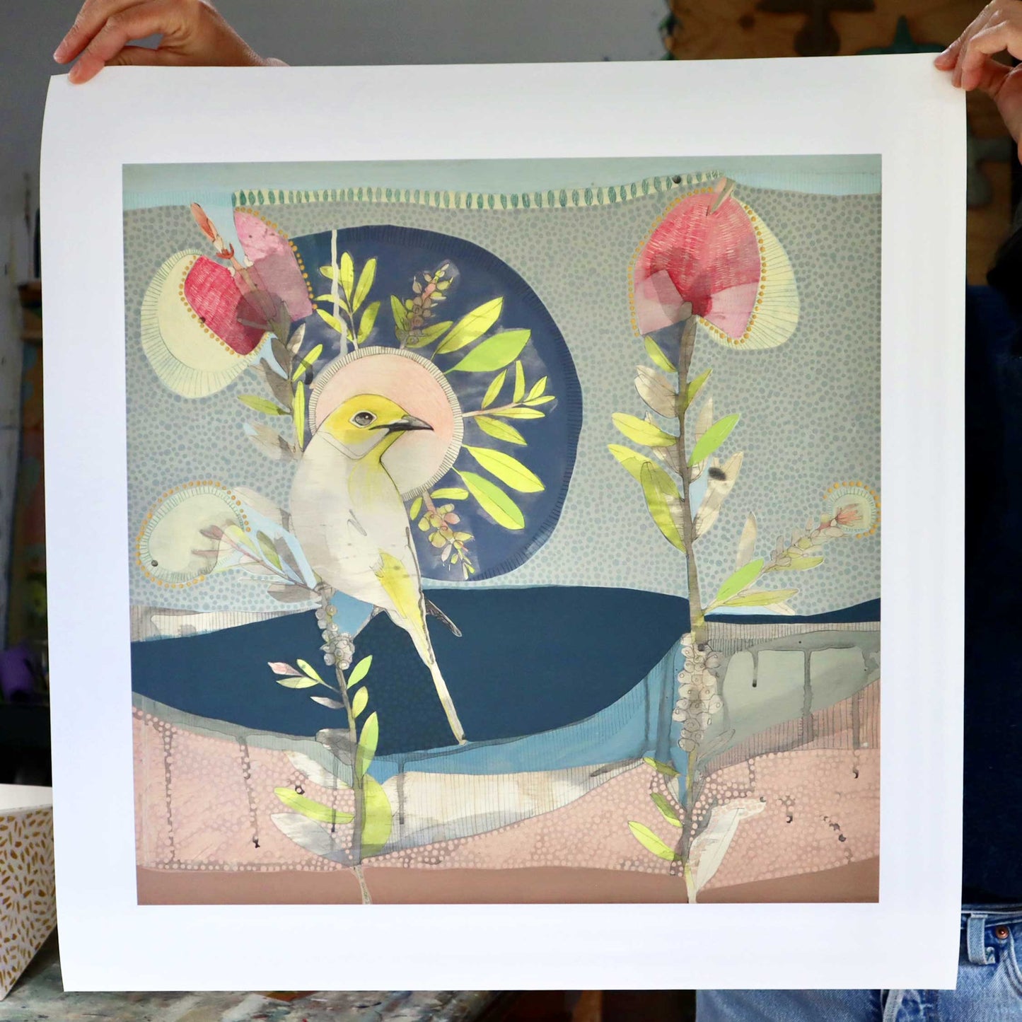 may love find you - white plumed honeyeater and hot pink callistemon - edition print