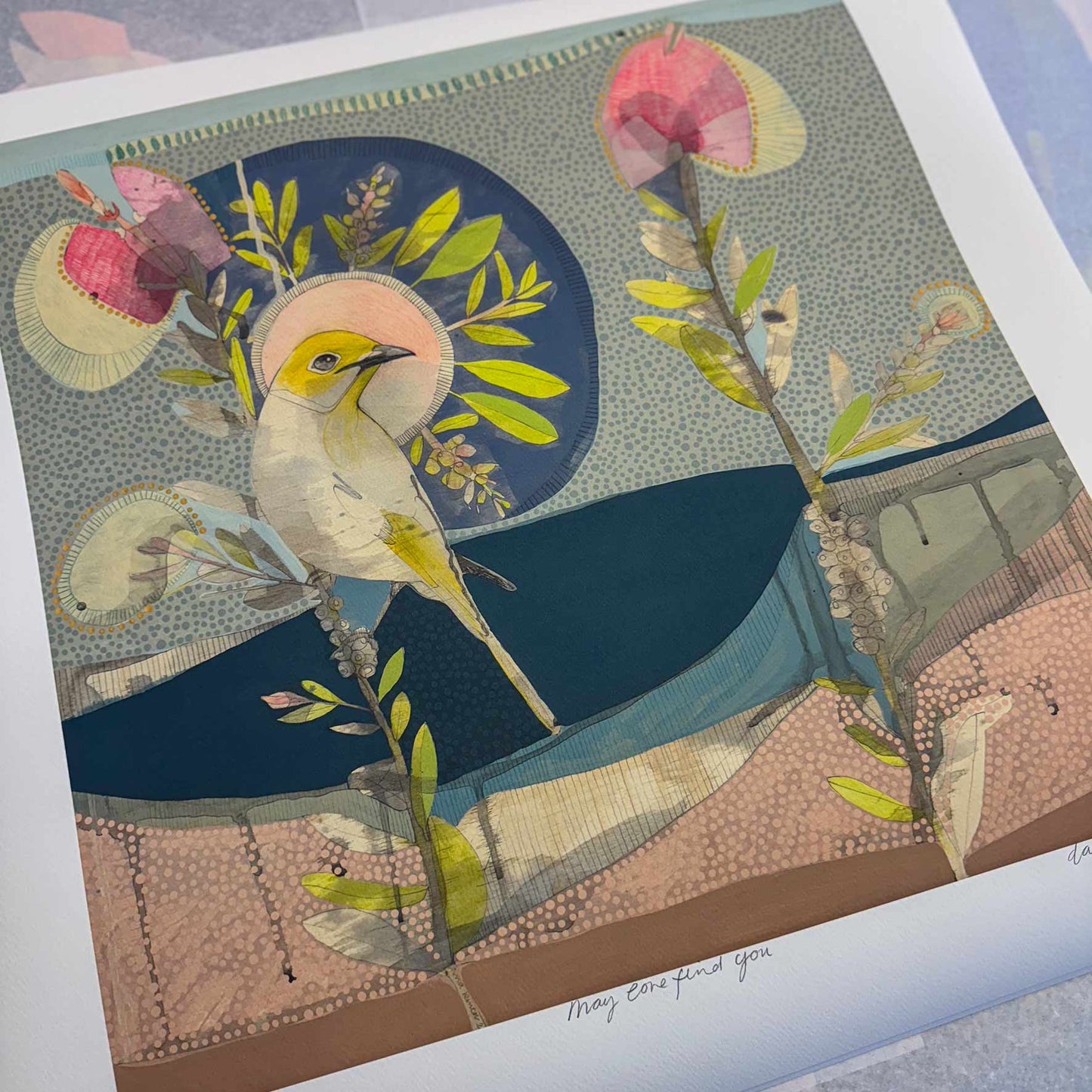 may love find you - white plumed honeyeater and hot pink callistemon - edition print