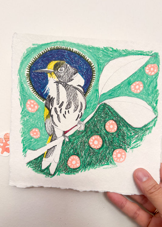 New Holland Honeyeater and leaf - Original Artwork