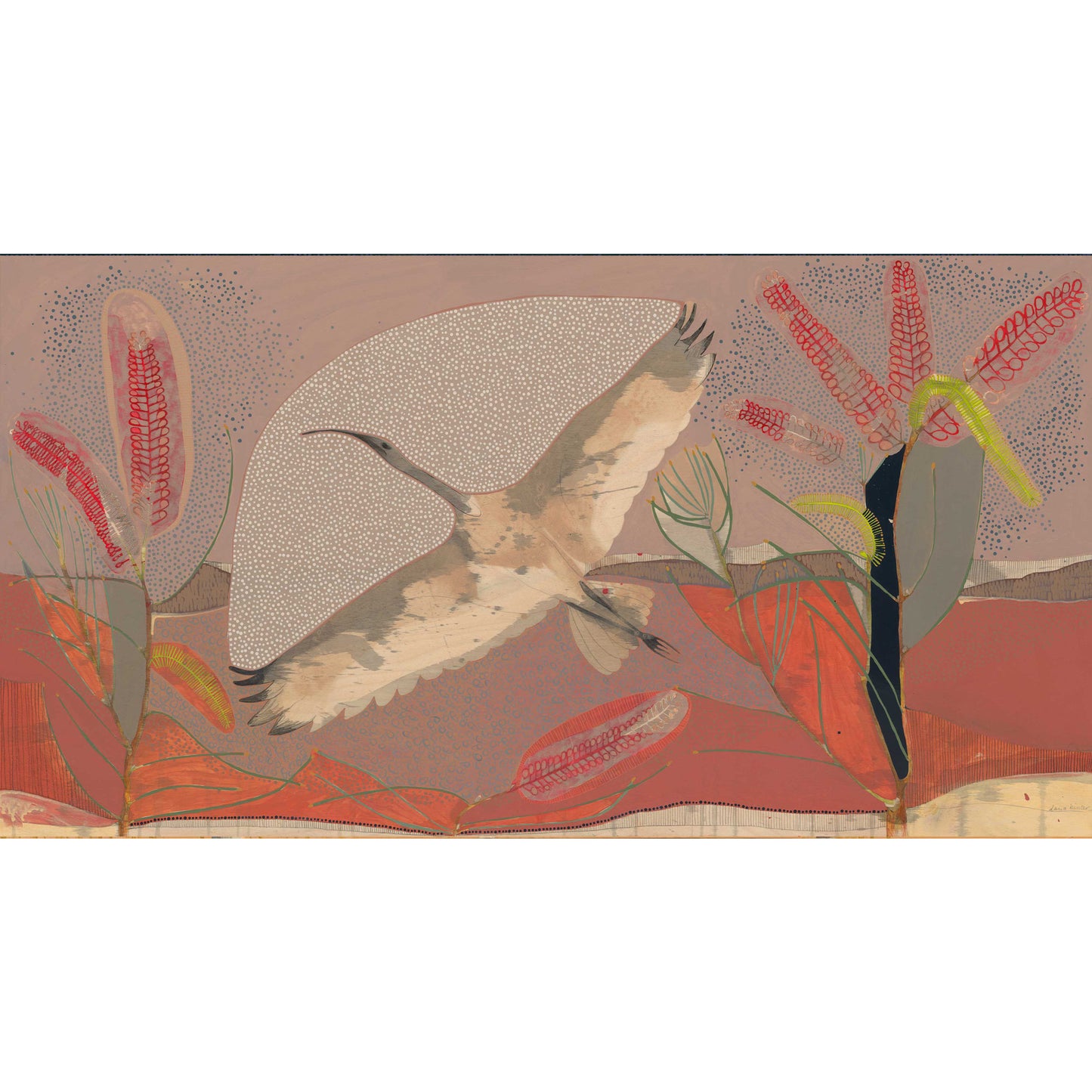 Sails on the Heart of the Wind, Sacred Ibis and Red Poker Hakea - Edition Print