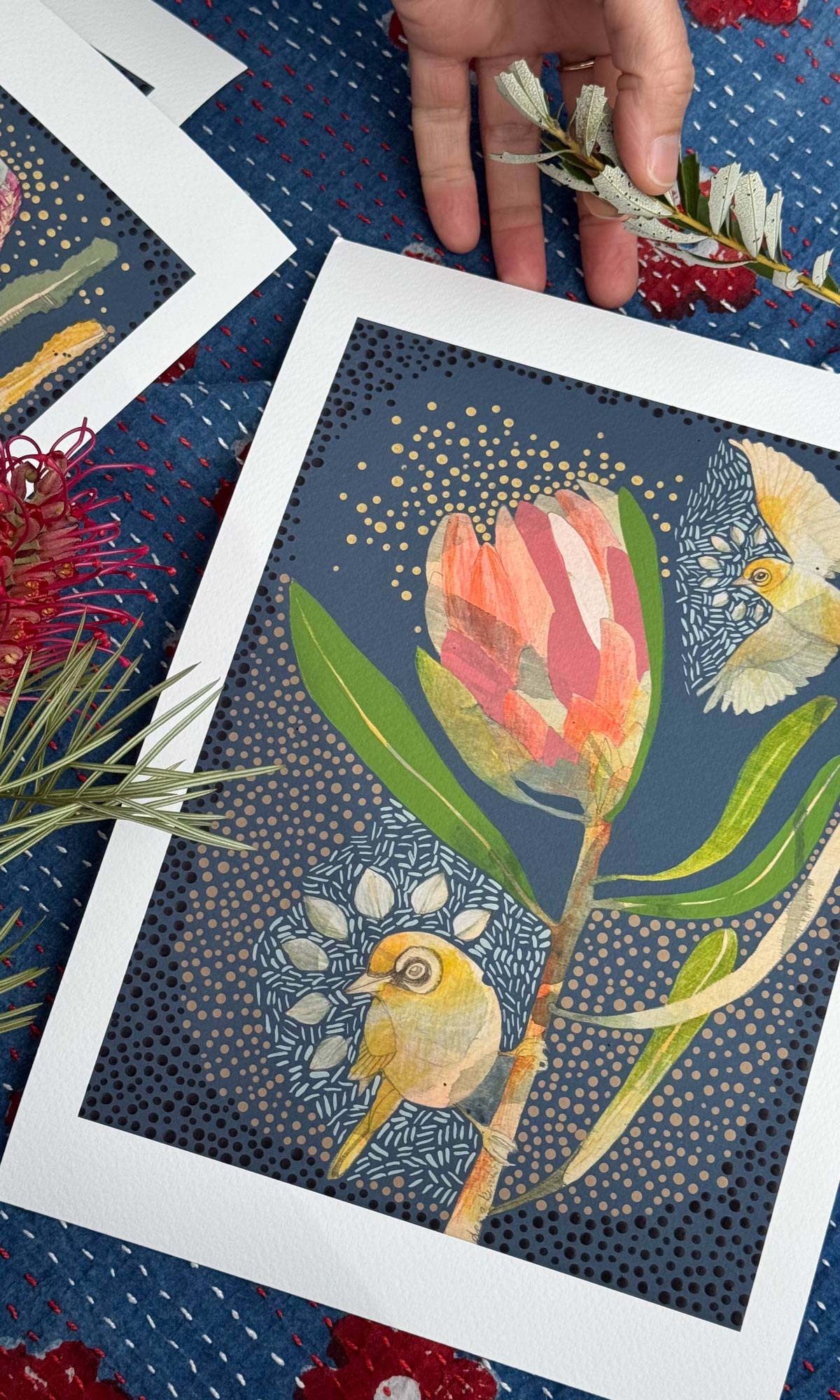 Silvereye and Pink Ice Protea - Mini Print