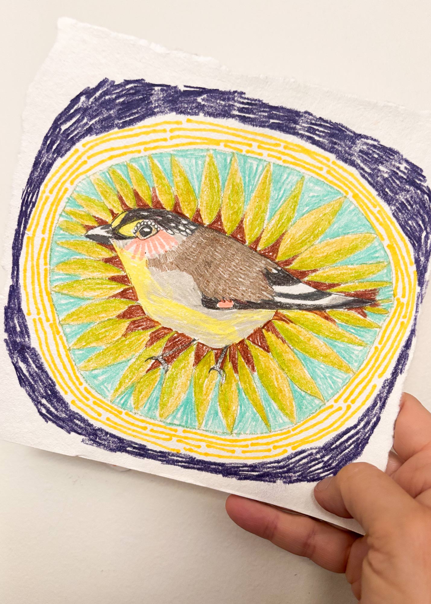 Striated Pardalote and Eucalyptus - Original Artwork