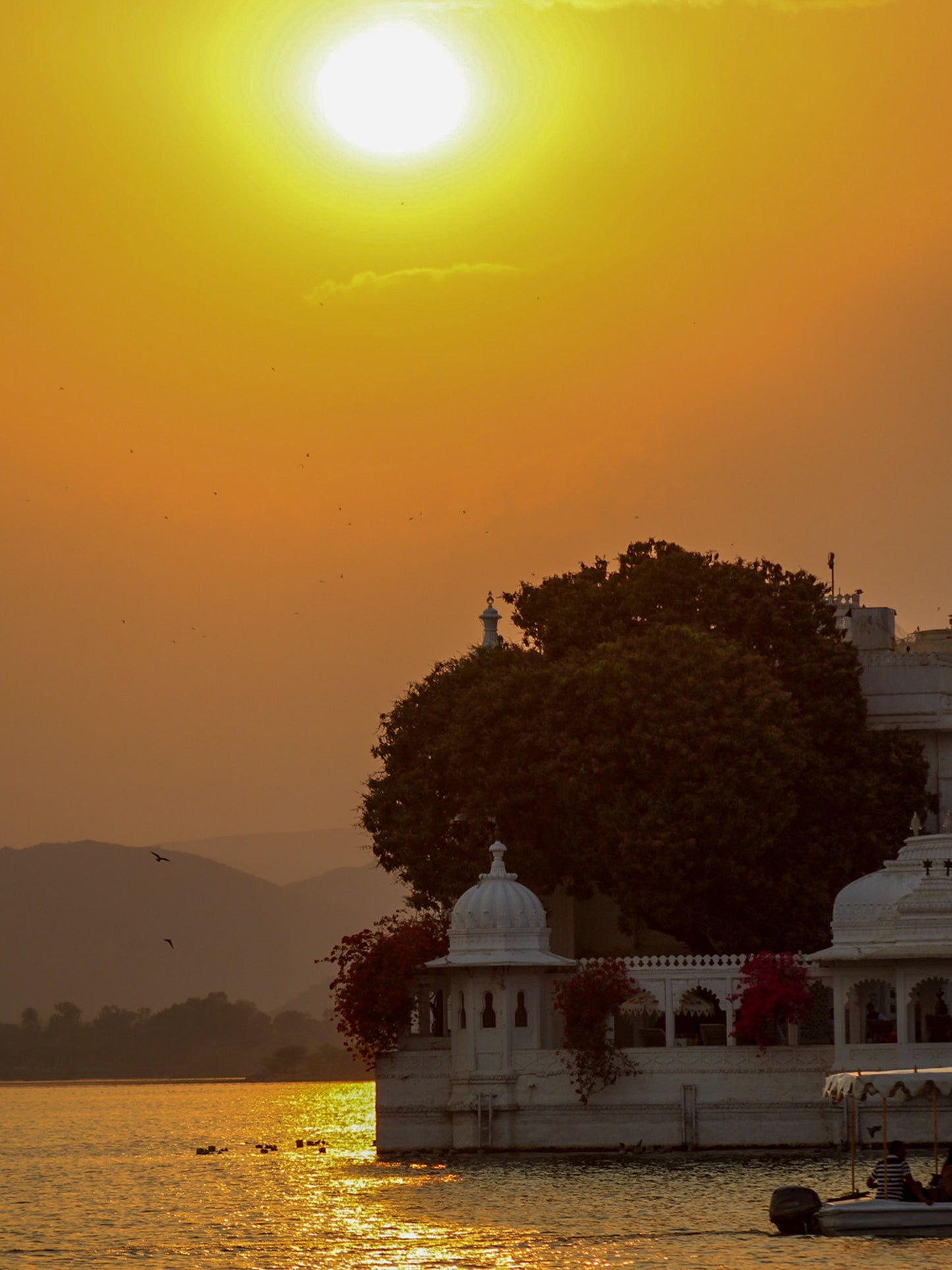 🪷Feb 2026 join me in North INDIA art/culture with Holi🪷