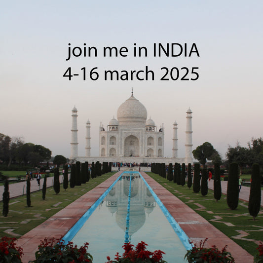 🪷 join me in north INDIA with holi 4-16 march 2025🪷 sold out