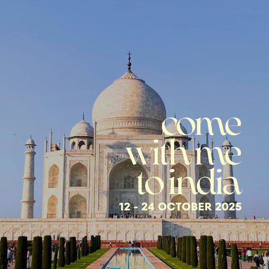 North India Art/Culture with Diwali Tour Oct 2025 sold out