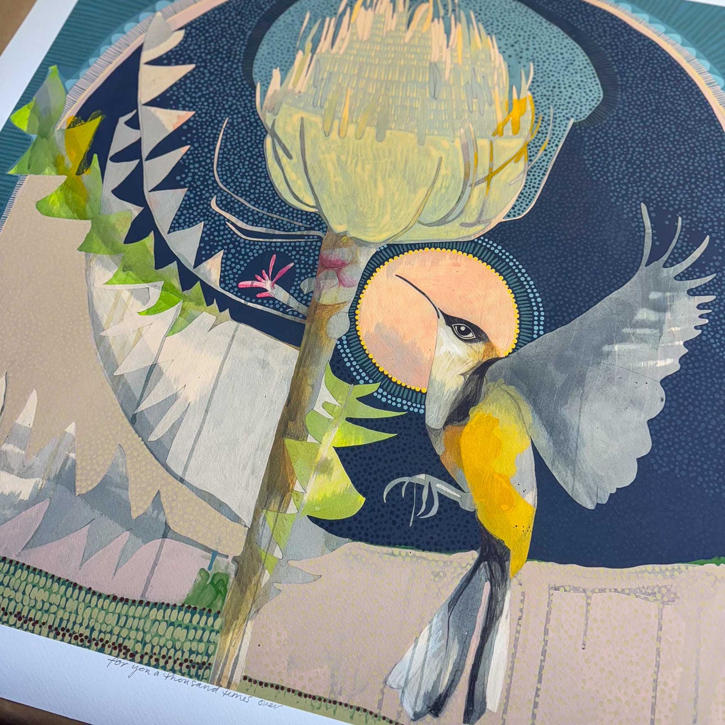 for you a thousand times over, eastern spinebill and banksia - edition print