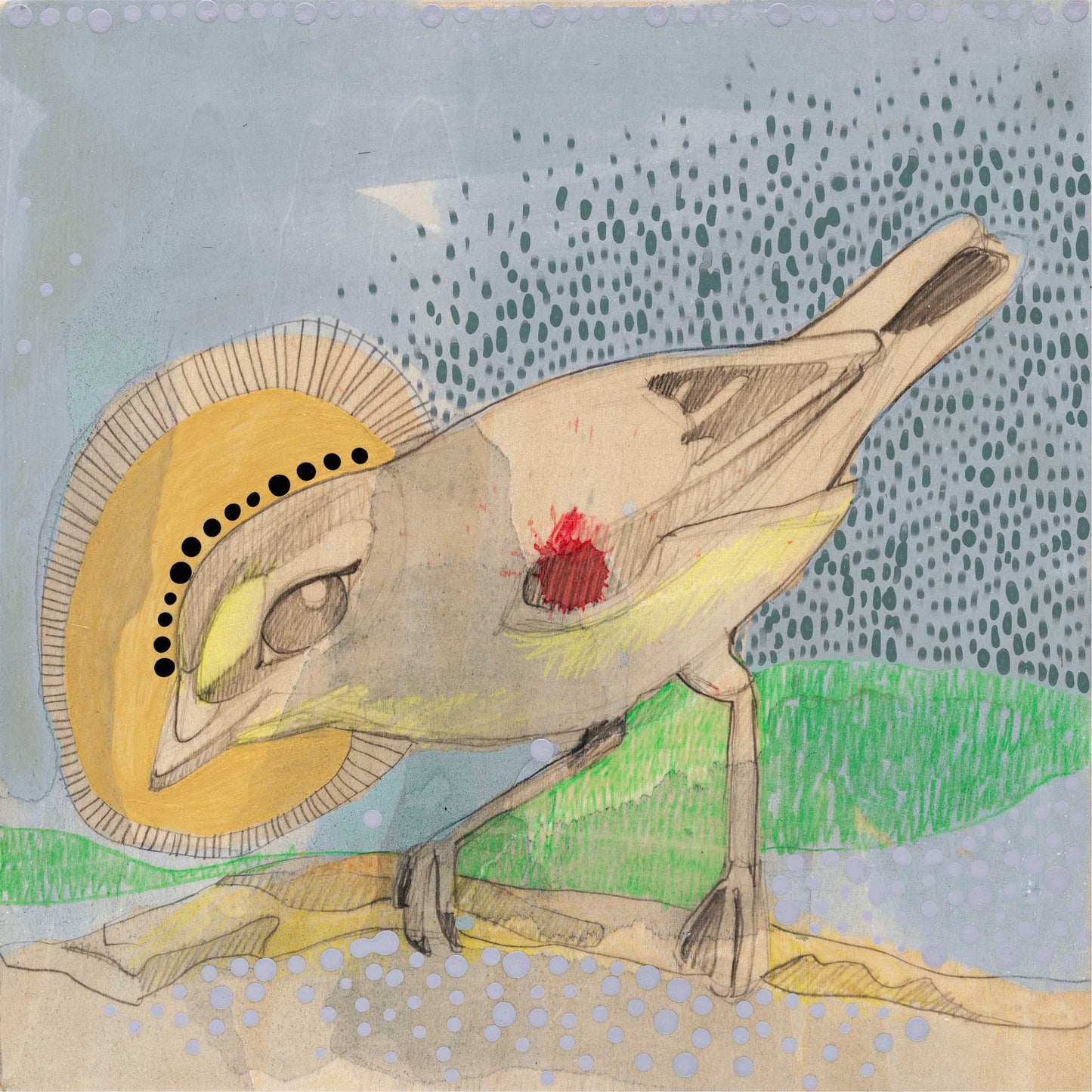 when love beckons you follow him, striated pardalote - card