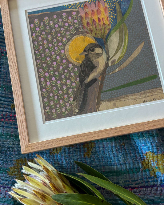 Willie wagtail and protea framed - mini print - pick up only