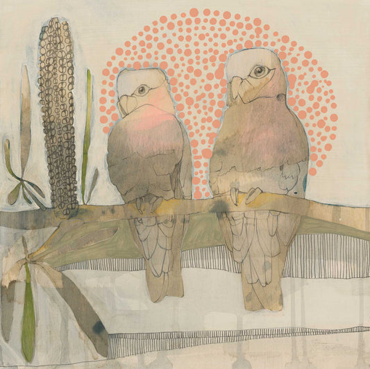 two galahs and banksia - edition print