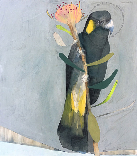 black cockatoo and protea (2) | print