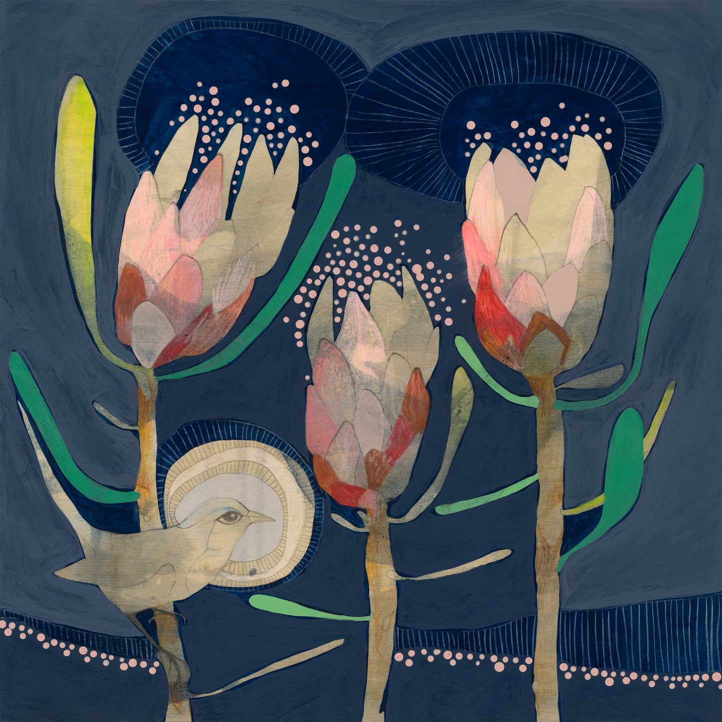blue wren and protea | print