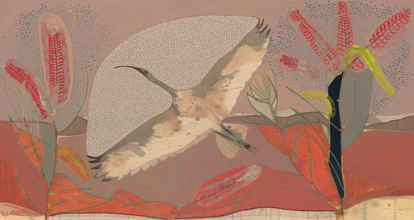 sails on the heart of the wind, sacred ibis and red poker hakea | print