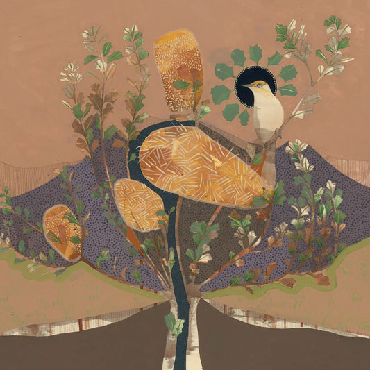 i only kiss your shadow, singing honeyeater and banksia - edition print
