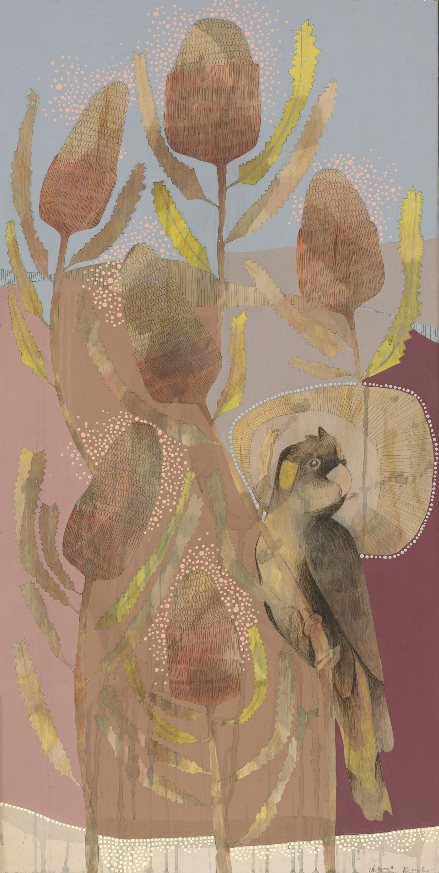 seasons | autumn - yellow-tailed black cockatoo and banksia burdettii | print