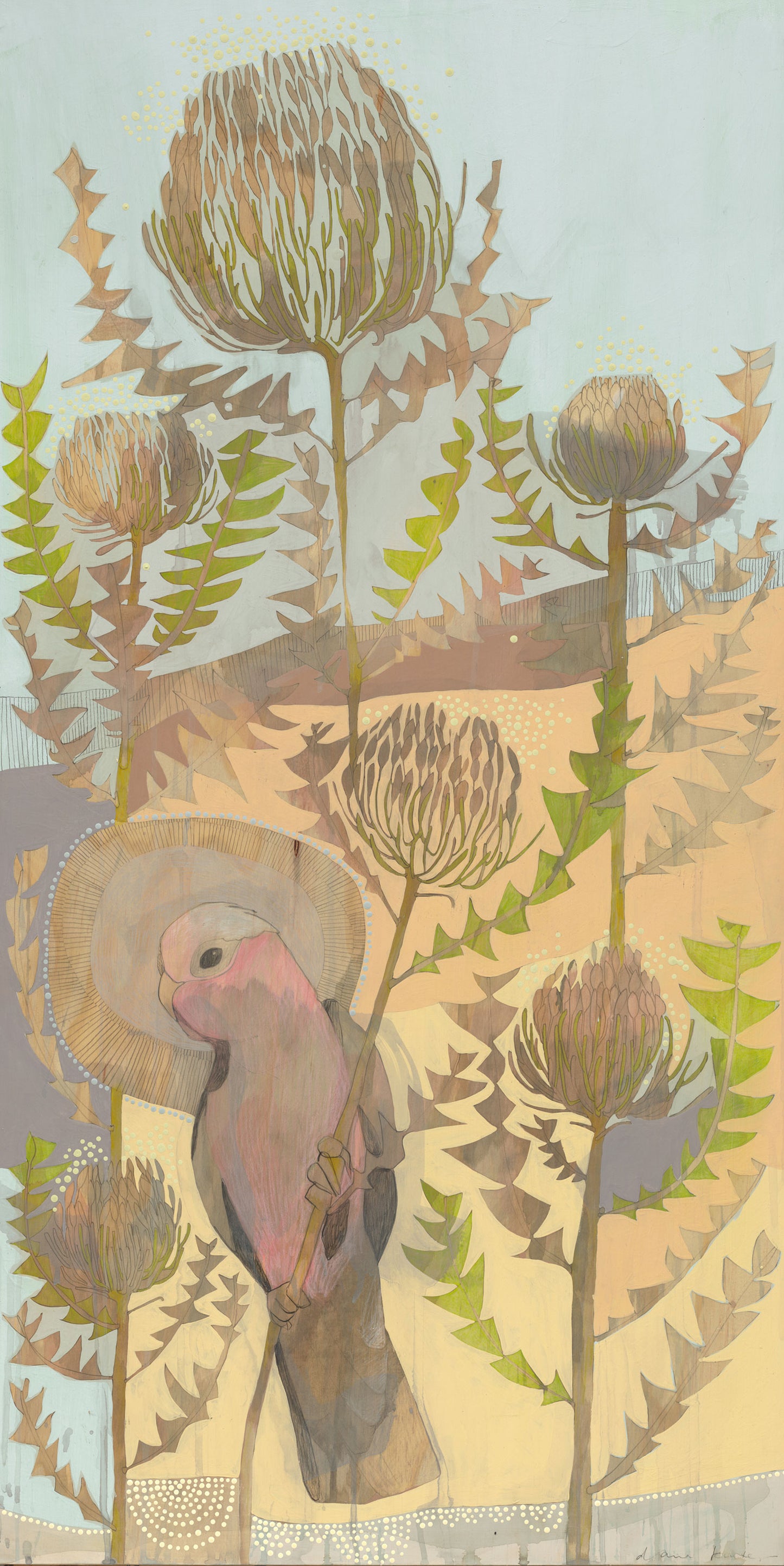 seasons | summer - galah + banksia baxteri | print
