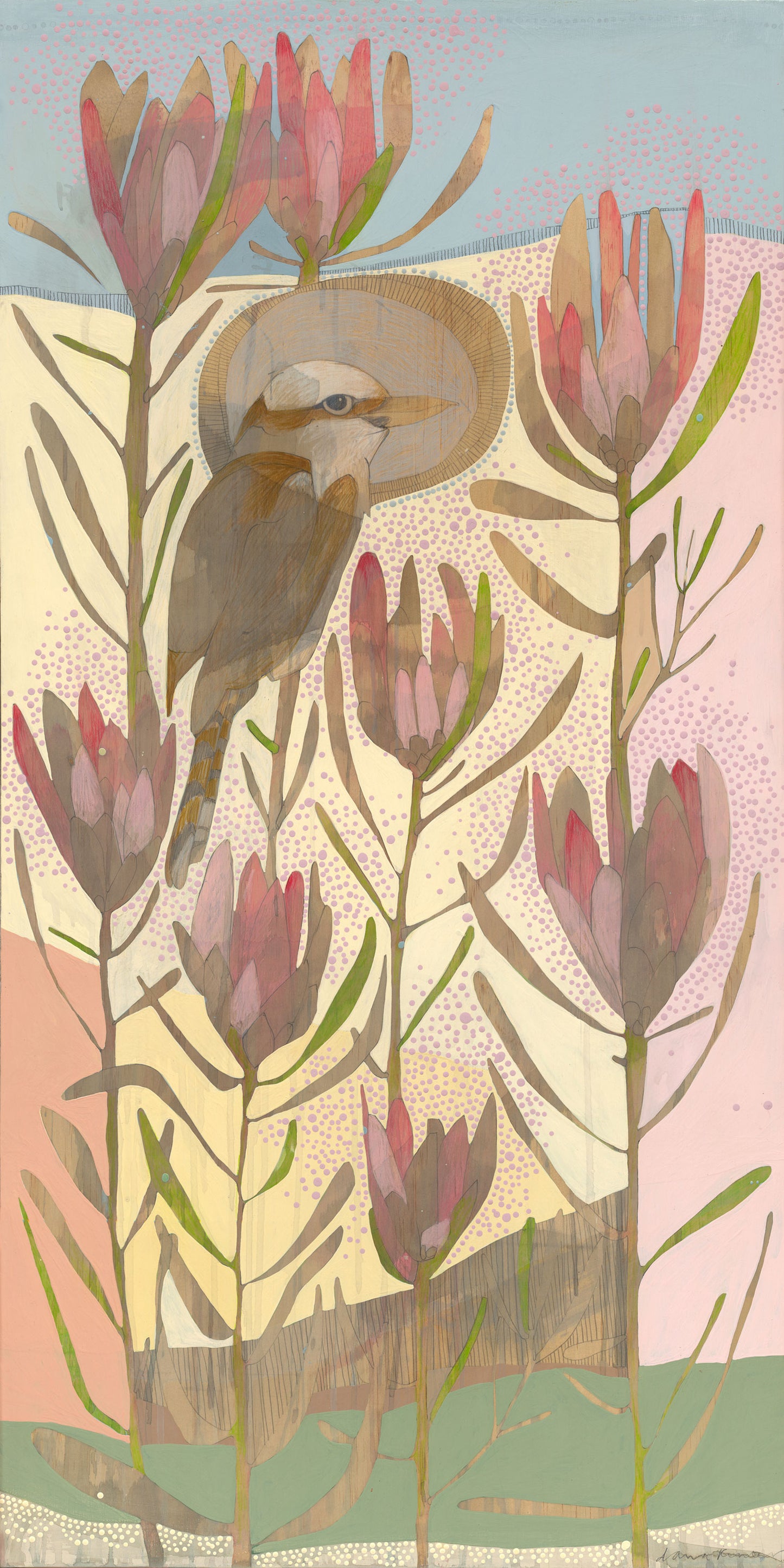 seasons | spring - laughing kookaburra and protea repens | print